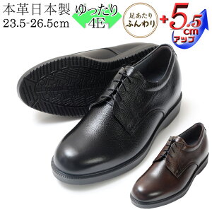 wȂC V[NbgV[Y {v Y L rWlXV[Y  4E v \tg 5.5cmUP R hL kCHƏ { vC V{ _炩 R YV[Y q[Abv 