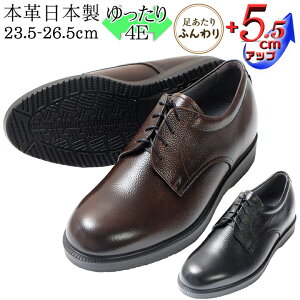 wȂC V[NbgV[Y {v Y L rWlXV[Y  4E v \tg 5.5cmUP R hL kCHƏ { vC V{ _炩 R YV[Y q[Abv 