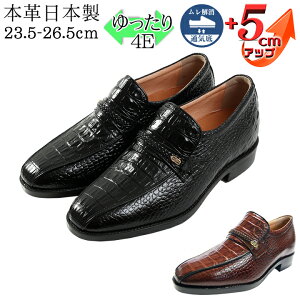 V[NbgV[Y ʋC {v Y L rWlXV[Y  4E v NR X[J Ȃ kCHƏ { vC ^ Xb| NR_C YV