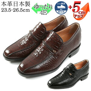 V[NbgV[Y ʋC {v Y L rWlXV[Y  4E v NR X[J Ȃ kCHƏ { vC ^ Xb| NR_C YV