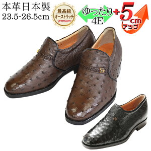 10%OFFI[Xgb` {v vC ō V[NbgV[Y I[Xgb`v 5cmUP v[ Xb| kCHƏ { Y q[AbvV[Y rWlXV[Y 