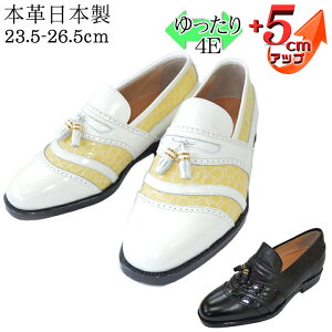 73%OFF ݌Ɍ {v vC V[NbgV[Y ^ ^bZ Xb| R hL 5cmUP kCHƏ { {v Y rWlXV[Y  L 4E Ch tH[} /