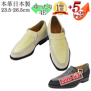 73%OFF V[NbgV[Y ʋC {v Y L rWlXV[YbV xg Xgbv J 5cmUP kC { vC tH[} Ȃ YV[Y  4E L 