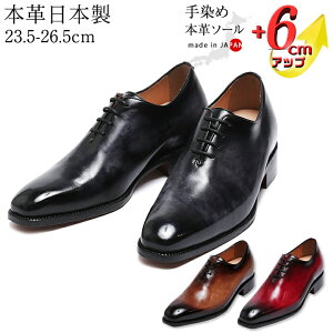 20%OFF vC  {v\[ z[Jbg peB[k V[NbgV[Y {v rWlXV[Y Y v Y { Om[Y 6cmUP q[AbvV[Y 3E R ʋ tH