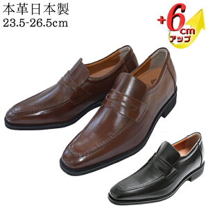 20%OFF V[NbgV[Y [t@[ Xb| {v vC Y rWlXV[Y 6cmUP 3E wȂC vLbv Om[Y gh R hL { Y q[AbvV