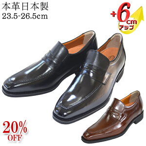 20%OFF V[NbgV[Y [t@[ Xb| {v vC Y rWlXV[Y 6cmUP 3E wȂC vLbv Om[Y gh R hL { Y q[AbvV