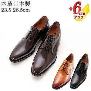 V[NbgV[Y vC {v rWlXV[Y Y wȂC Y { Om[Y OH v[ 6cmUP q[AbvV[Y vC 3E R ʋ tH[}  