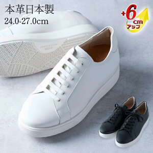 y|Cg10{z V[NbgXj[J[ Y {v Y { v U[Xj[J[ A[o[XAbv 6cmUP wȂC kCHƏ V[NbgV[Y q[Abv