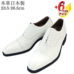 50%OFF 󂠂 VY V[NbgV[Y C Y  {v Y { vC 6cmUP 3E H amC ^LV[h tH[} Xg[g`bv Ԗ  q[AbvV[Y 