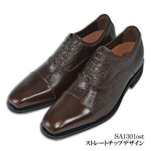 30%OFF V[NbgV[Y 50NLO {v vC rWlX Y 6cmUP 3E { Y wȂC Xg[g`bv NXgbv Om[Y kCHƏ q[AbvV