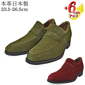 50%OFF V[NbgV[Y [t@[ Xb| {v vC Y rWlXV[Y 6cmUP 3E wȂC vLbv Om[Y  R hL { Y q[AbvV[