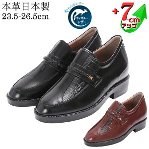 rWlXV[Y V[NbgV[Y Y JK[v fUC J 7cmUP YAbvV[Y 3E kCHƏ { {v Y q[AbvV[Y vC YV[Y _