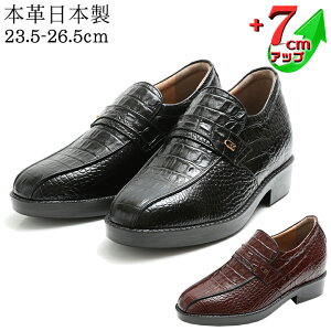 V[NbgV[Y Y v ^ NR X[J 7cmUP YAbvV[Y kCHƏ { {v Y q[AbvV[Y vC YV[Y  hXV