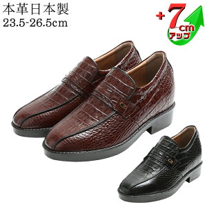 V[NbgV[Y Y v ^ NR X[J 7cmUP YAbvV[Y kCHƏ { {v Y q[AbvV[Y vC YV[Y  hXV