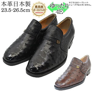 I[Xgb` {v vC ō rWlXV[Y I[Xgb`v v[ Xb| kCHƏ { Y  L 4E Ch tH[} _`E / 1265