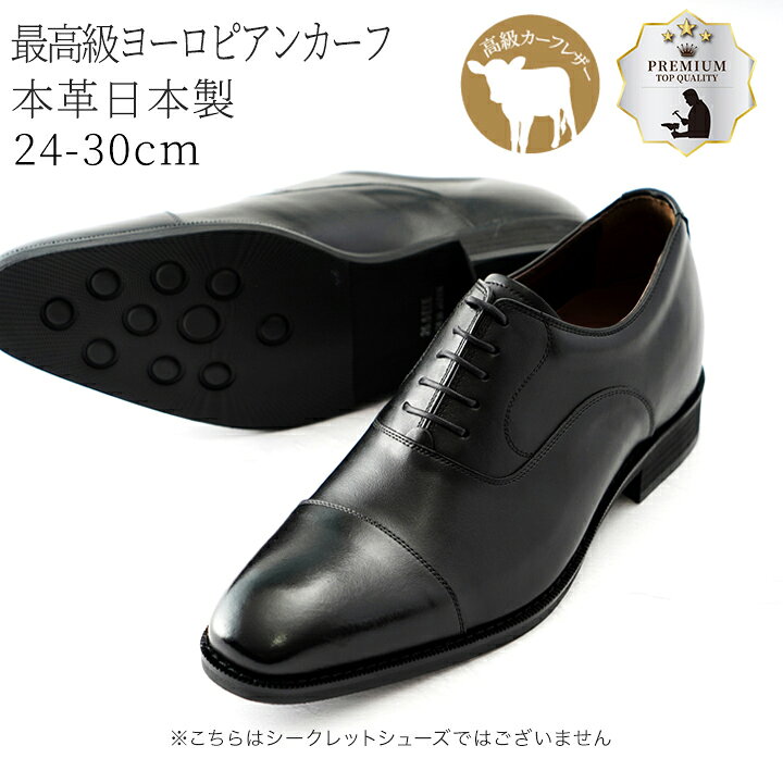 楽天市場】ビジネスシューズ 24cm〜30cm 大きなサイズ 本革 革靴 国産 