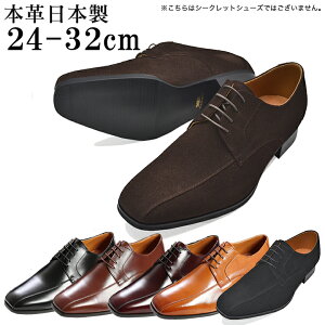 vC rWlXV[Y 24cm`32cm 傫ȃTCY L b  {v Y { OH X[J 4E v amC YV[Y //C/L/xA No.K7000