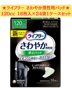 y16×24܃ZbgzCt[₩jpSpbh120cc jpyփpbh 26cm16×24