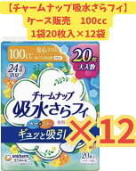 【ケース販売・まとめ売り・送料無料】チャームナップ　100cc 多くても安心用 20枚×12袋セット