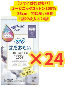 X[p[Z[Ԍ|Cg5{JÒyP[X̔×24ZbgEzjE`[ \tB ͂ I[KjbNRbg ɑp 260 H 22R×24