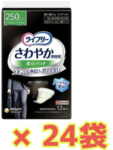 yP[X̔24܁EzCt[ ₩jpSpbh250cc 12×24