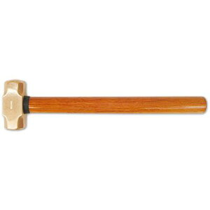 obNXm y`FRBOH-2 iR[hF42007521z hn}[ RBOH-2