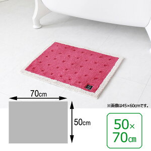 INAX LIXIL NV ySL-BM-KA-0408z xǍDN[tbg oX}bg 50×70cm^sNiܓj^EoXpi [KA-0408]