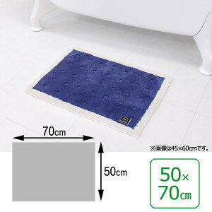 INAX LIXIL NV ySL-BM-KA-0409z xǍDN[tbg oX}bg 50×70cm^u[iܓj^EoXpi [KA-0409]