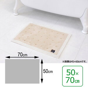 INAX LIXIL NV ySL-BM-KA-0410z xǍDN[tbg oX}bg 50×70cm^x[Wiܓj^EoXpi [KA-0410]