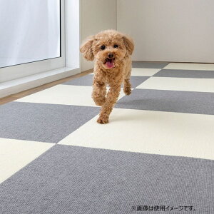 INAX LIXIL NV ySL-LG-SN-0270z ^C}bg45×45cm^AC{[^CeAEpi [SN-0270]