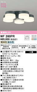 �I�[�f���b�N �V�[�����O�t�@�� �V�[�����O�t�@�� �yWF260PR�z�yWF 260PR�z