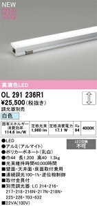 �I�[�f���b�N �ԐڏƖ� �yOL291236R1�z�yOL 291 236R1�z