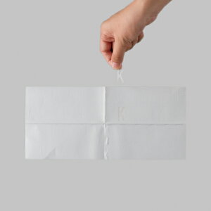 TOEX ܂@yDAN561376z@l[V[25mm@V[[10O]