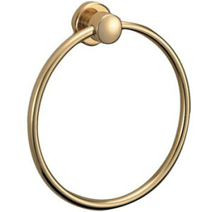 VN} Ws^[^IO  yBT-100zy[J[̂݁EsENP㕥sz