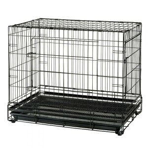 b`F ybgpi vtFbViybgQ[WXL 59761