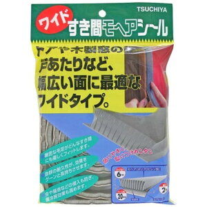 Ɖ ChԃwAV[ O[ 20060