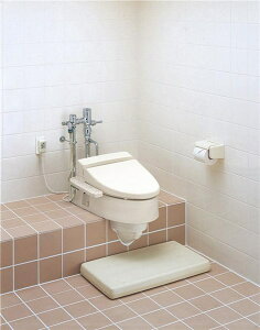 TOTO yCS501F#NW1z apu֊iXbgj i摜̓C[Wł ǐ^Ԃł̂͂ɂȂ܂