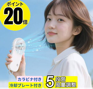 |Cg20{ nfBt@ pv[g y gѐ@ ⊴ 莝@ 啗  nfB@ 5iK͒ 2000mAh e Type-C}[d Jrit RpNg N[