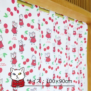 _SNSŘb^ AW[EERPbg킵̃AW[ JtFJ[e  J[e V[g ډB 100cm 45cm 72cm 90cm p Z  Ց ՑJ[e 킢  L