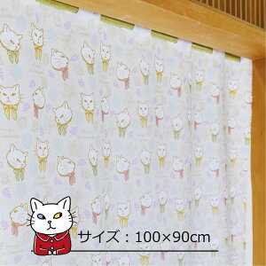 _SNSŘb^ AW[EERPbg킵̃AW[ JtFJ[e  J[e V[g ډB 100cm 45cm 72cm 90cm p Z  Ց ՑJ[e 킢  L