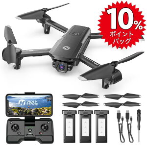 Ҍ10%|CgobN11/2 10灚 h[ GPS 100g Ƌsv ^ Holy Stone 1080PJt obe[3 42s 120°J ^[[h tH[~[[h 