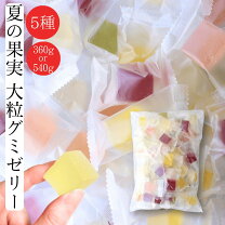 楽天市場】夏グミの通販