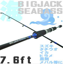 楽天市場】ロックフィッシュ（魚種ヒラメ）（ロッド・竿｜フィッシング 