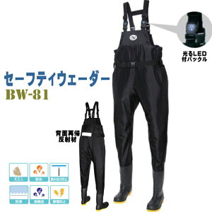 Z[teBEF[_[ BW-81 `FXgnCEF[_[ _n tC  C EF_[ ЊQ | tC ނpC  ƕ Y h |Sc ϖ ݔh~ 