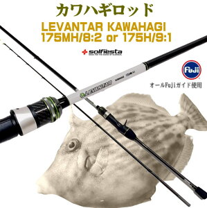 D JnM LEVANTAR KAWAHAGI 175MH 8:2 sdq 175H 9:1 ɐdq 炲I ͂ I[FujiKCh D