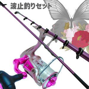 sNTrLނZbg3-360 XsjO[ 3000  ނ g~ނ 傢 TrLނ bh&[Zbg ss6