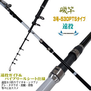Uo LEXER鉓   3-530PTS 3-530 tJZނ jނŃCTL V}AW ^ q}T n}` X nCptH[}XJ[{bh 鉓 
