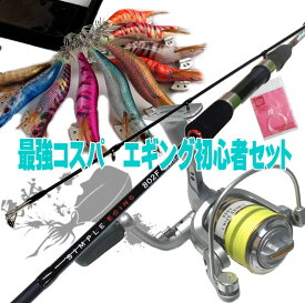 楽天市場 イカ リーダー 3本の通販