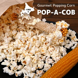 t|bvR[/CG[y1Zbg3{zPOP-A-COB̎܂ɂ̂܂ܓăWŃ`IłIykCYz