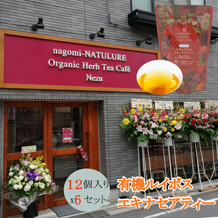楽天市場 ルイボス エキナセア ハーブティーセット 72個 ティーバッグ 安眠 オーガニック ハーブティー ノンカフェイン 自律神経 お茶 効能 パック 睡眠 種類 リラックス アソート 送料無料 おすすめ 専門店 人気 お中元 プレゼント 実用的 カリスマバイヤー輸入雑貨